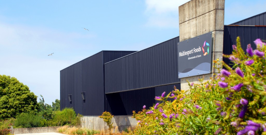 Casos de Éxito. Fachada de la planta de procesamiento de Multiexport Foods, destacando la infraestructura moderna de la industria del salmón gestionada mediante la plataforma INNK.